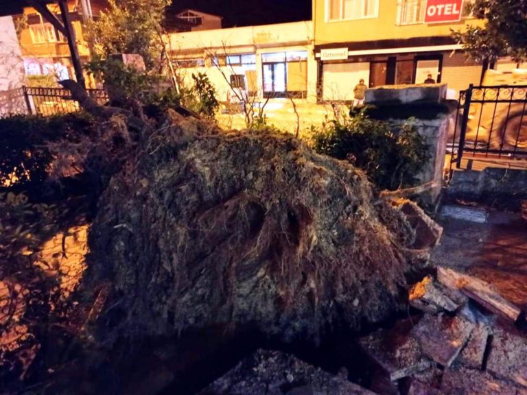 AĞAÇLAR DEVRİLDİ, ÇATILAR UÇTU