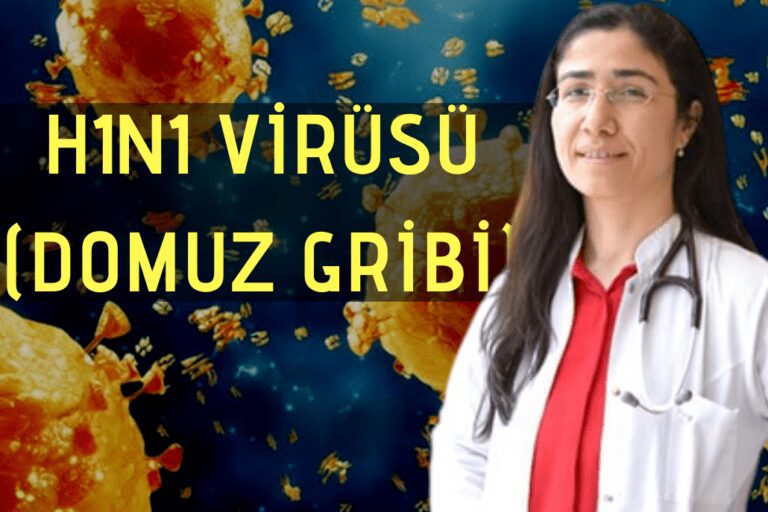 DOMUZ GRİBİNDE KORKUTAN YÜKSELİŞ