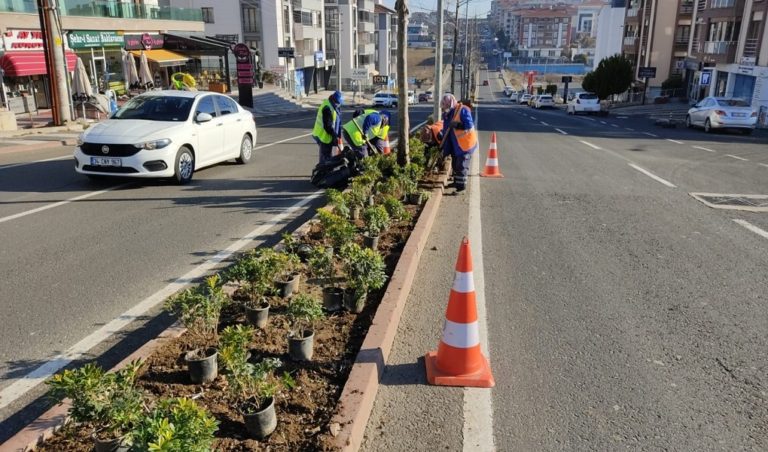 PARK BAHÇELER EKİPLERİ AĞAÇLANDIRMA VE PEYZAJ ÇALIŞMALARINI SÜRDÜRÜYOR