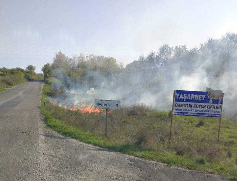 Sigara İzmariti Yangına Neden Oldu