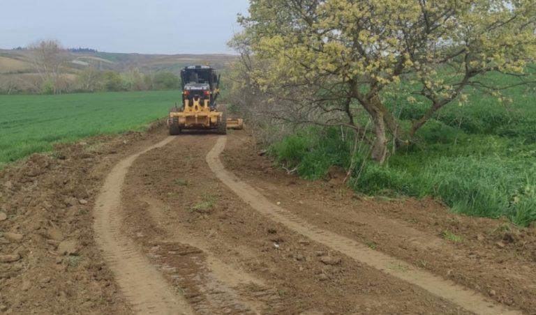 Hasat Dönemi Öncesinde Tarla Yollarında Bakım Çalışmaları Yapılıyor