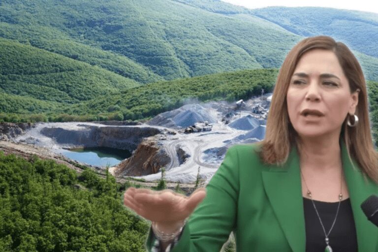 Yüceer:”Taş Ocağı Uğruna Ormanı Katlediyorlar”
