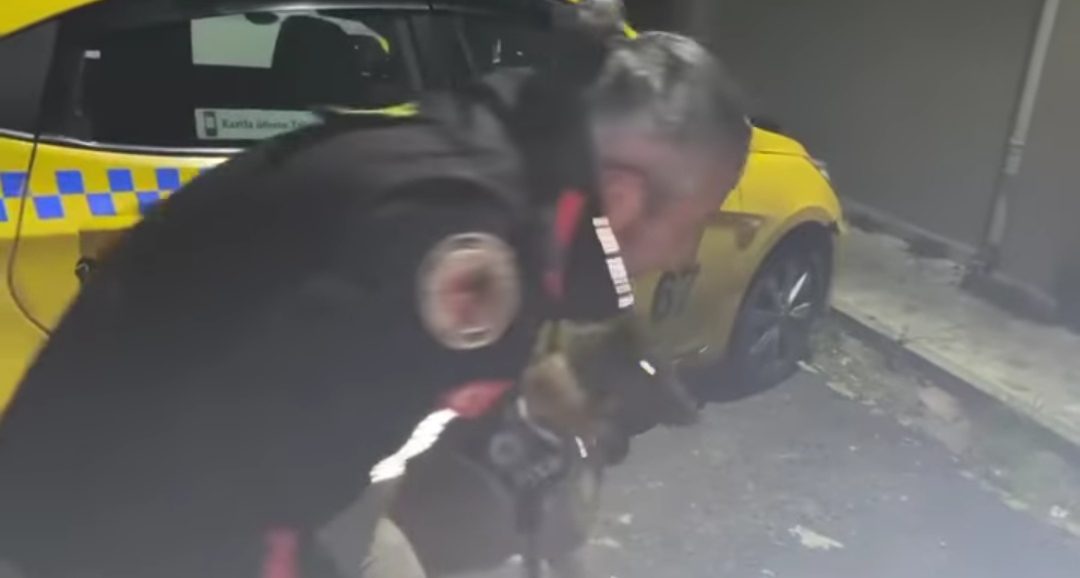 Takside 4 Bin 750 Uyuşturucu Hap Ele Geçirildi: Sürücü Tutuklandı Takside 4 Bin 750 Uyuşturucu Hap Ele Geçirildi: Sürücü Tutuklandı
