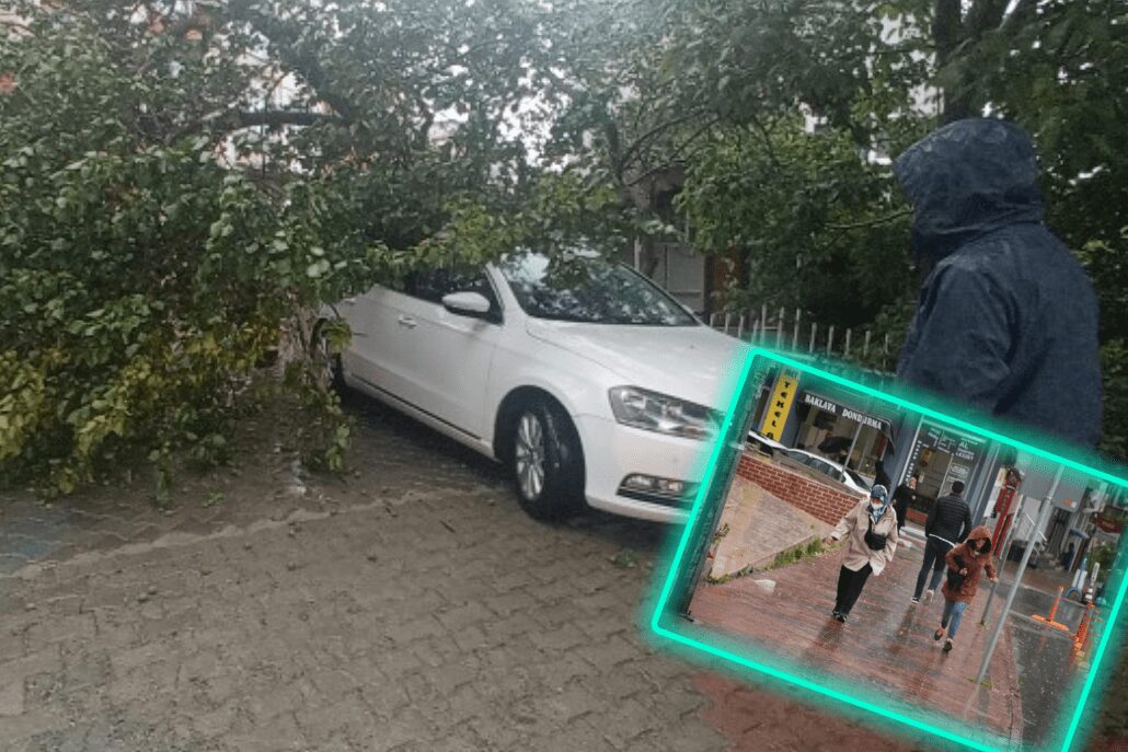Fırtına Ağaçları Devirdi, Yağmur Etkisini Gösterdi Fırtına Ağaçları Devirdi, Yağmur Etkisini Gösterdi