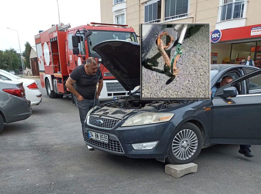 Araç Motoruna Giren Yılan 2 Saat Sonunda Çıkarıldı Araç Motoruna Giren Yılan 2 Saat Sonunda Çıkarıldı