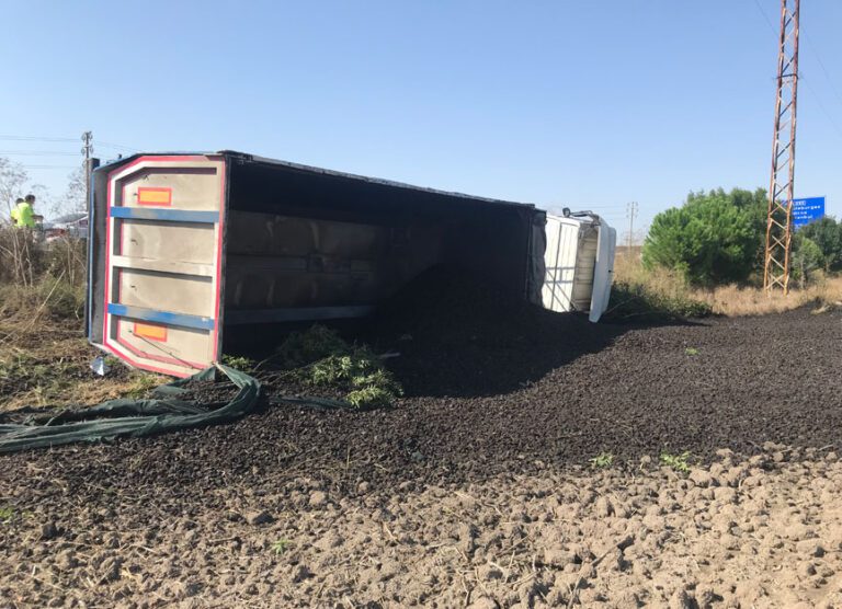 Otomobil İle Çarpışan Kamyon Tarlaya Uçtu: 1 Yaralı
