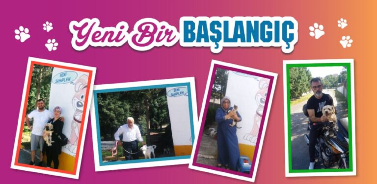 42 Can Dostumuz Daha Yeni Yuvasına Kavuştu