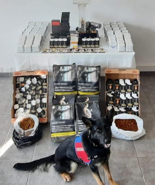 Kırklareli’de kaçak ürünleri çay ve tütün tespit köpeği ‘Yıldız’ buldu Kırklareli’de kaçak ürünleri çay ve tütün tespit köpeği ‘Yıldız’ buldu