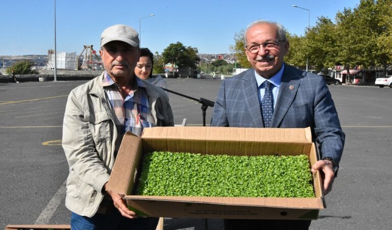 Büyükşehirden, Fide Desteği
