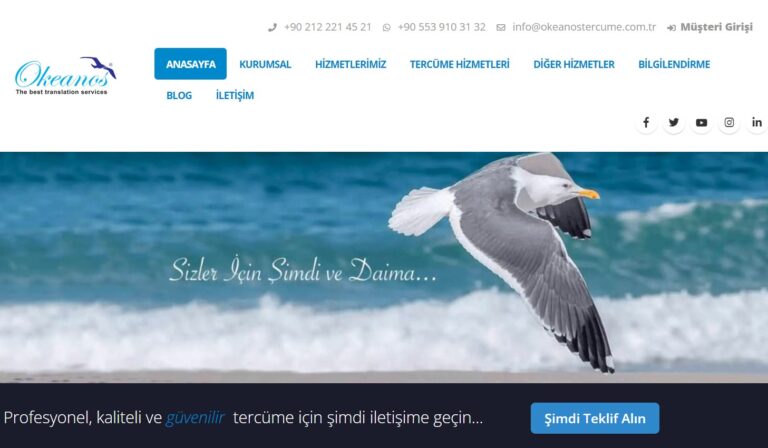 Kürtçe Çeviri ve Tercüme