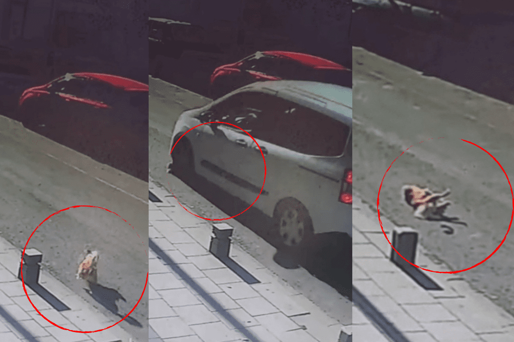Köpeğe Çarpıp Kaçtı: Anbean Kameraya Yansıdı! Köpeğe Çarpıp Kaçtı: Anbean Kameraya Yansıdı!