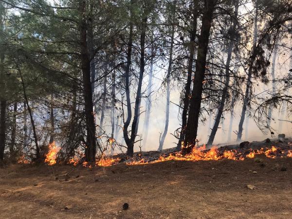 Orman Yangını; 2 Saatte Kontrol Altına Alındı