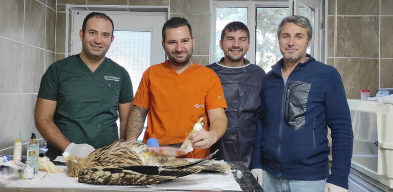 Bakımevimiz Can Dostlarımız İçin Şifa Dağıtıyor