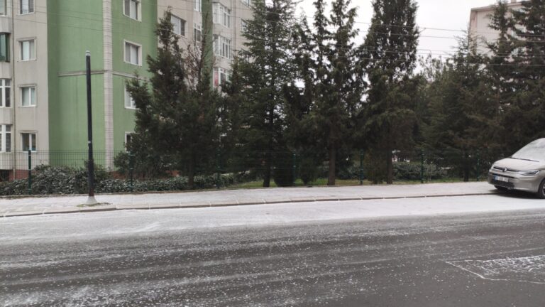 Başlayan Kar Yağışı Yerleri Beyazlattı!