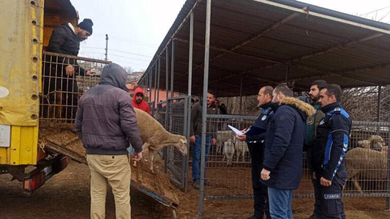 Hayvan Satış Yeri´nde Denetim Gerçekleştirildi
