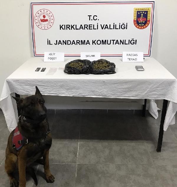 Kırklareli’nde gözaltına alınan 16 şüpheliden 2’si tutuklandı