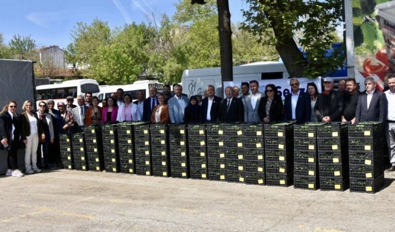 MALKARA VE HAYRABOLU İLÇELERİNDE ÜRETİCİYE DOMATES FİDESİ DESTEĞİ