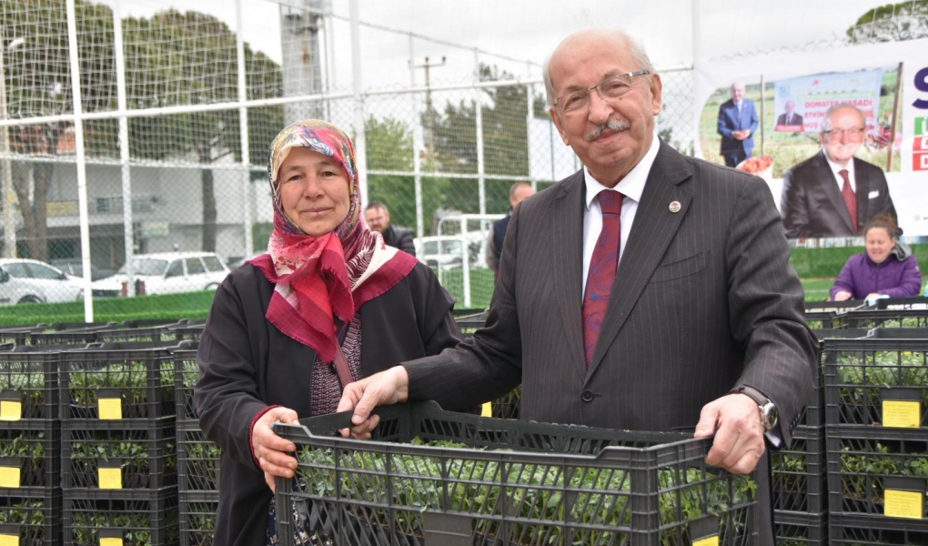ŞARKÖY İLÇESİNDE ÜRETİCİLERE DOMATES FİDESİ DAĞITILDI ŞARKÖY İLÇESİNDE ÜRETİCİLERE DOMATES FİDESİ DAĞITILDI