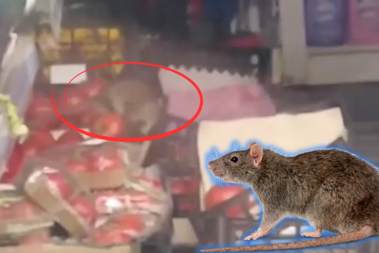 Zincir Markette Fare Skandalı!