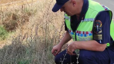 TREDAŞ, yapay zeka erken uyarı sistemini devreye soktu