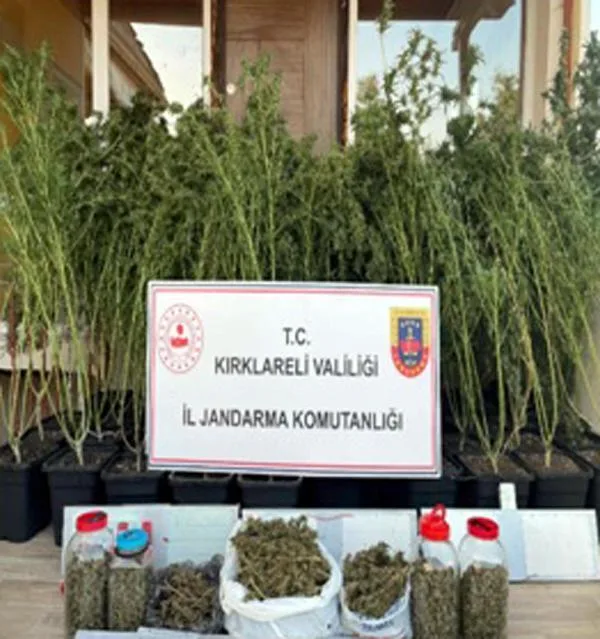 Kırklareli’de jandarmadan uyuşturucu operasyonu