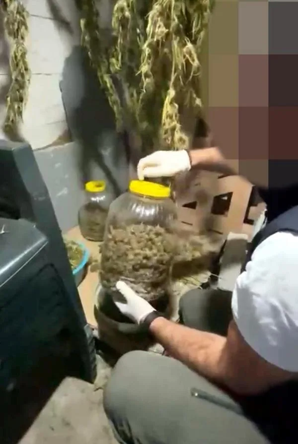 Evinde Hint keneviri ele geçirilen şüpheli gözaltında Evinde Hint keneviri ele geçirilen şüpheli gözaltında