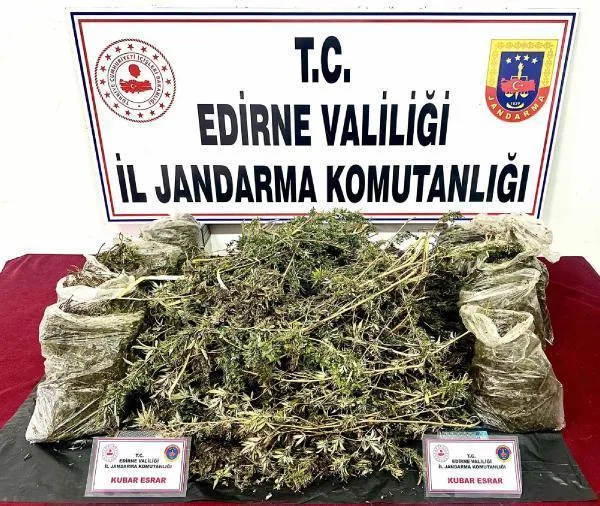 Evinde 8 kilo esrar bulunan şüpheli tutuklandı
