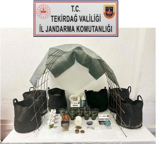 Evine sera kurup uyuşturucu yetiştiren şüpheli gözaltında