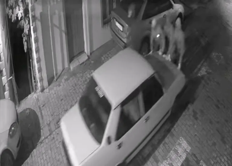 Yüzleri Maskeli 5 Kişi Arabayı İteleyerek Çaldı: Hırsızlık Anı Kamerada!