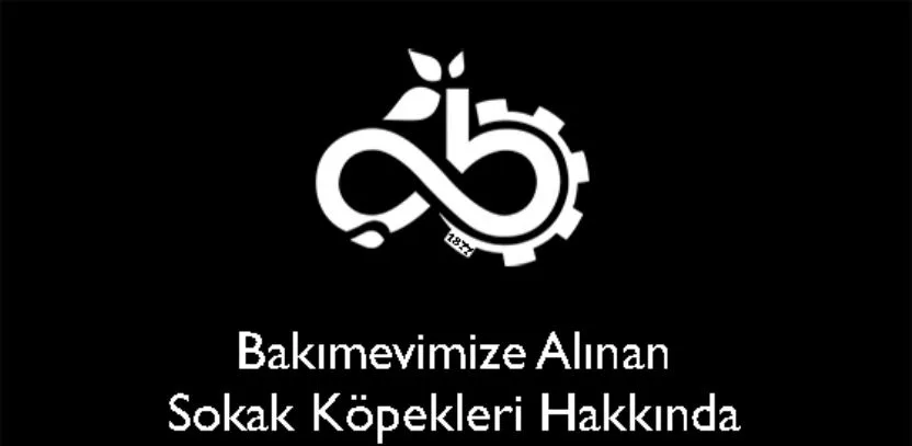 Bakımevimize Alınan Sokak Köpekleri Hakkında Açıklama Bakımevimize Alınan Sokak Köpekleri Hakkında Açıklama
