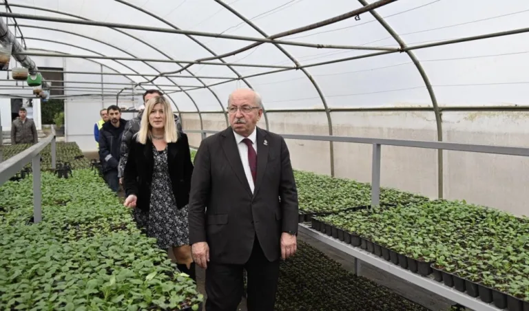 BAŞKAN ALBAYRAK, ÇİÇEK ÜRETİMİNİN YAPILDIĞI SERALARDA İNCELEMELERDE BULUNDU