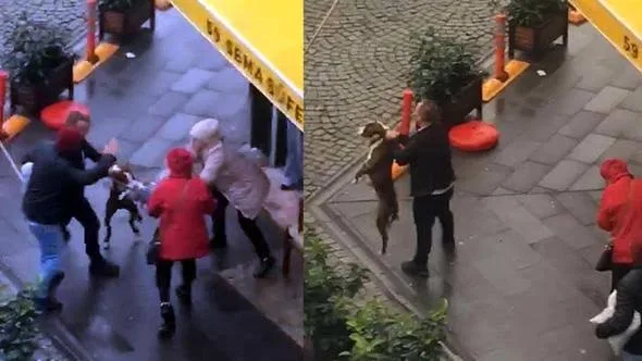Kucağındaki Köpeğe Pitbull Saldırdı; O Anlar Kamerada