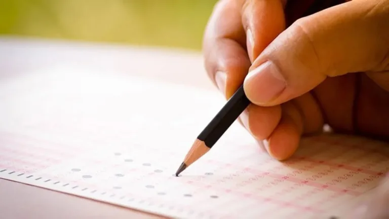 345 Türkiye Geneli Deneme Sonuçları: Öğrenme, Gelişme ve Motivasyon