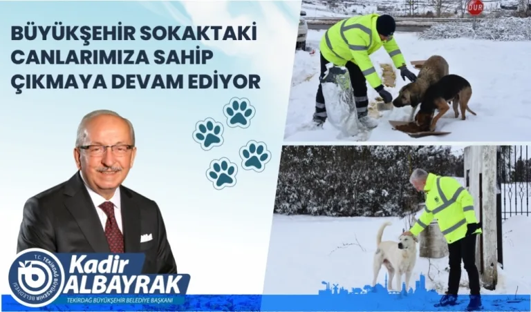 Büyükşehir Sokaktaki Canlarımıza Sahip Çıkamaya Devam Ediyor