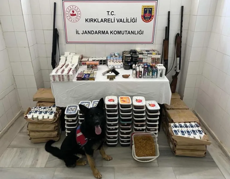 Kırklareli’de jandarmadan kaçakçılık operasyonu; 11 gözaltı