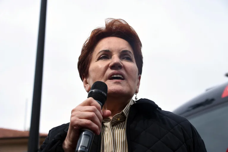 Akşener’den Özel’e: Bunun adına ‘Yan gel Osman’ denir, çalışın kardeşim