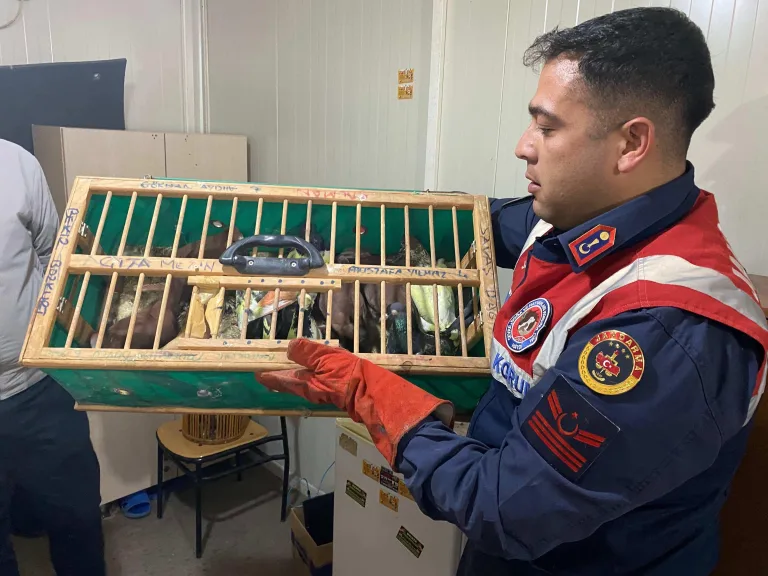 Edirne’de otomobilde 192 kuş ele geçirildi