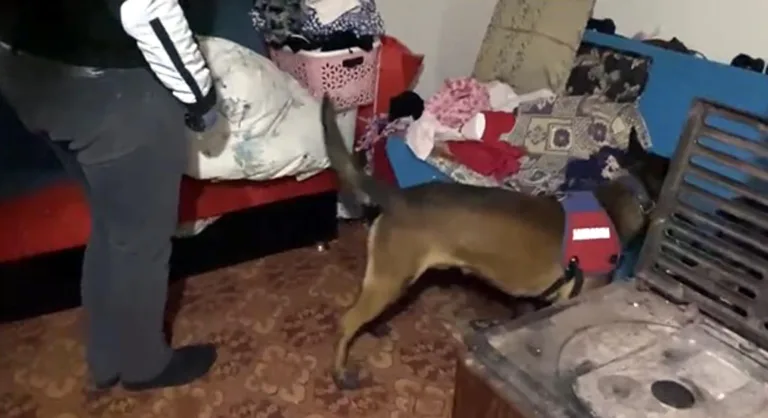 Kırklareli’de ‘torbacı’ operasyonunda 13 gözaltı