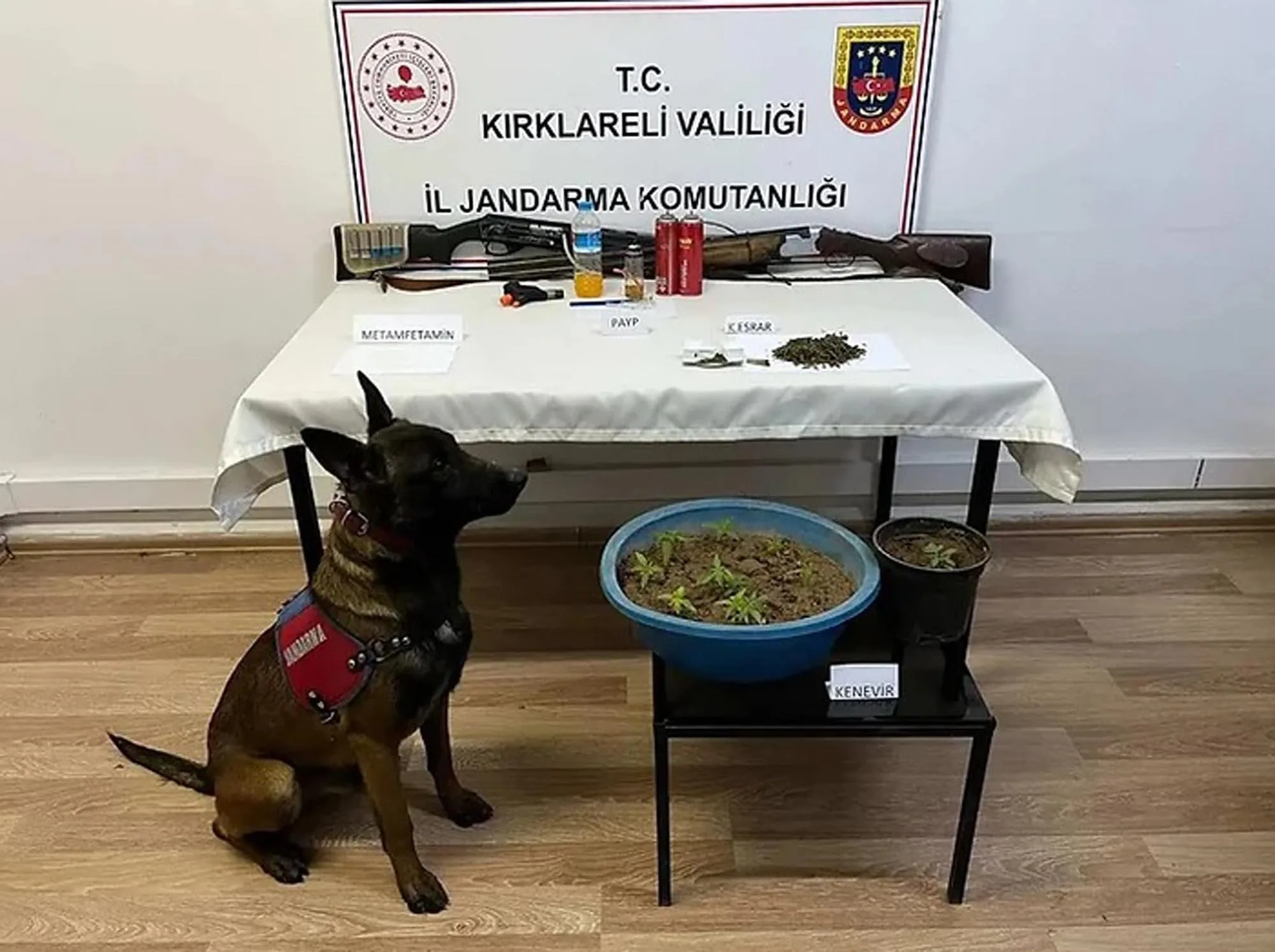 Çiftlikte uyuşturucu ele geçirildi: 1 gözaltı Çiftlikte uyuşturucu ele geçirildi: 1 gözaltı