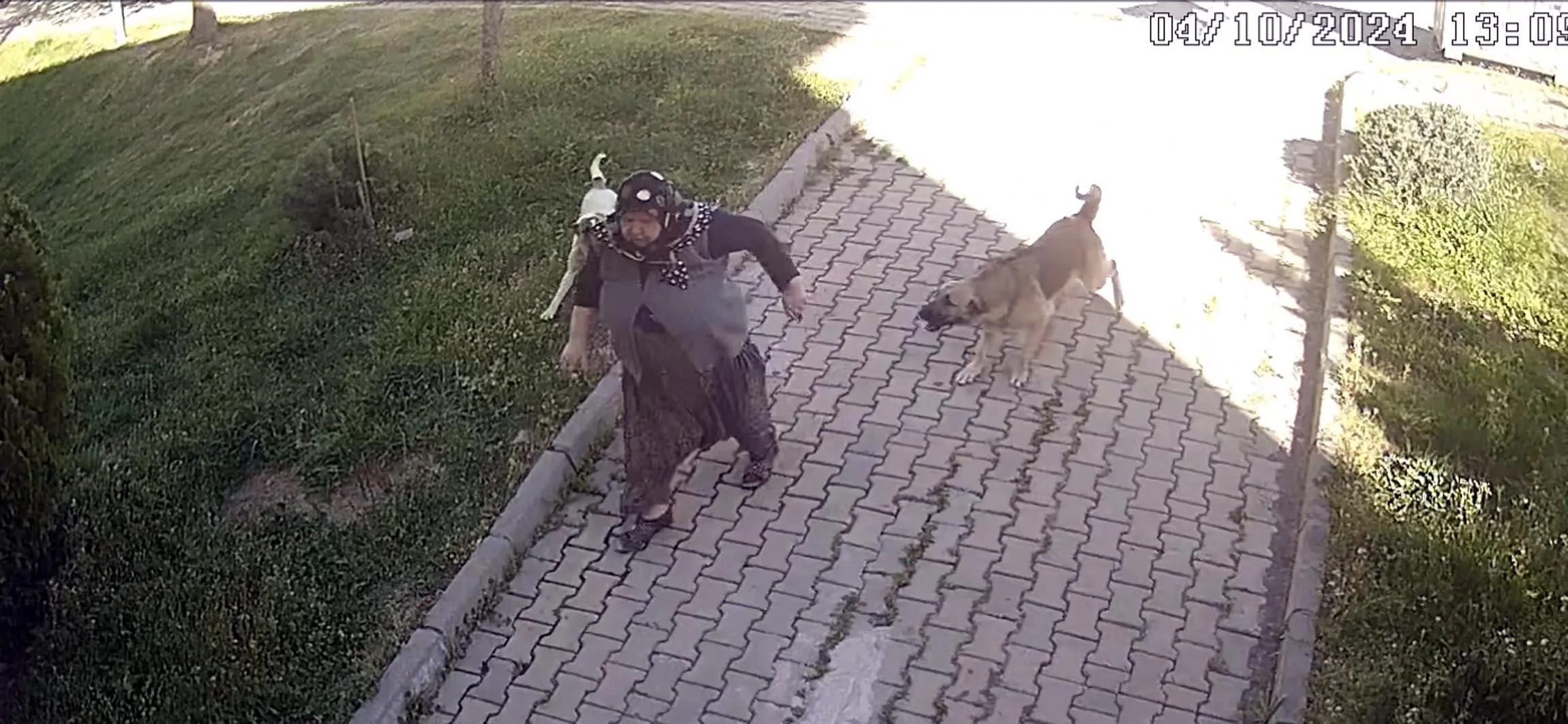 Köpeklerden kaçarken düşüp yaralandı; o anlar kamerada Köpeklerden kaçarken düşüp yaralandı; o anlar kamerada