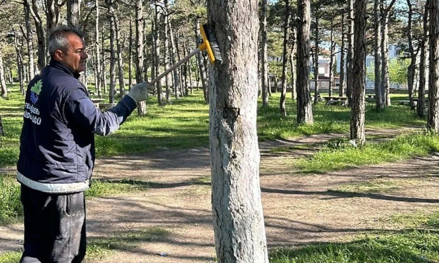 Saha Çalışmalarımız Devam Ediyor Saha Çalışmalarımız Devam Ediyor