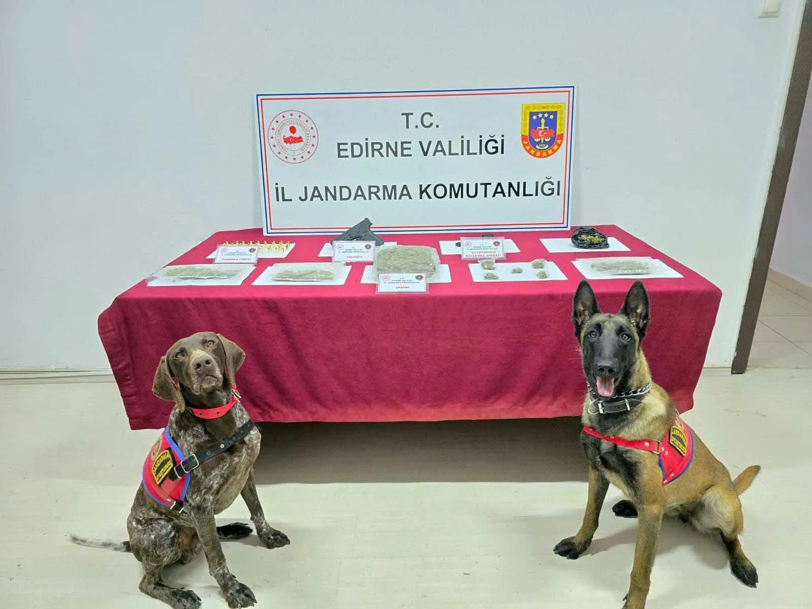 Edirne’de 500 gram skunk ele geçirildi_6658408a5ad8e.jpeg