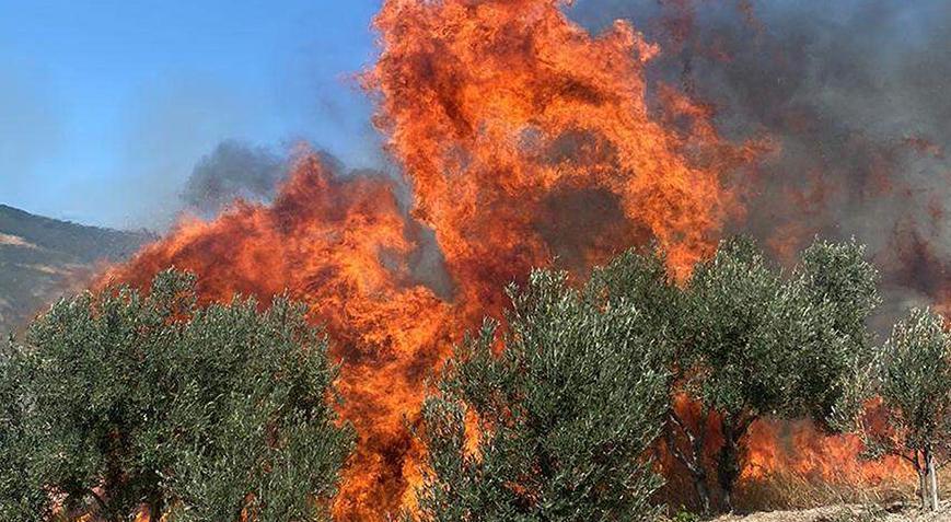 Tekirdağ’da Ormanlara Girişler 15 Ekim’e Kadar Yasaklandı Tekirdağ’da Ormanlara Girişler 15 Ekim’e Kadar Yasaklandı