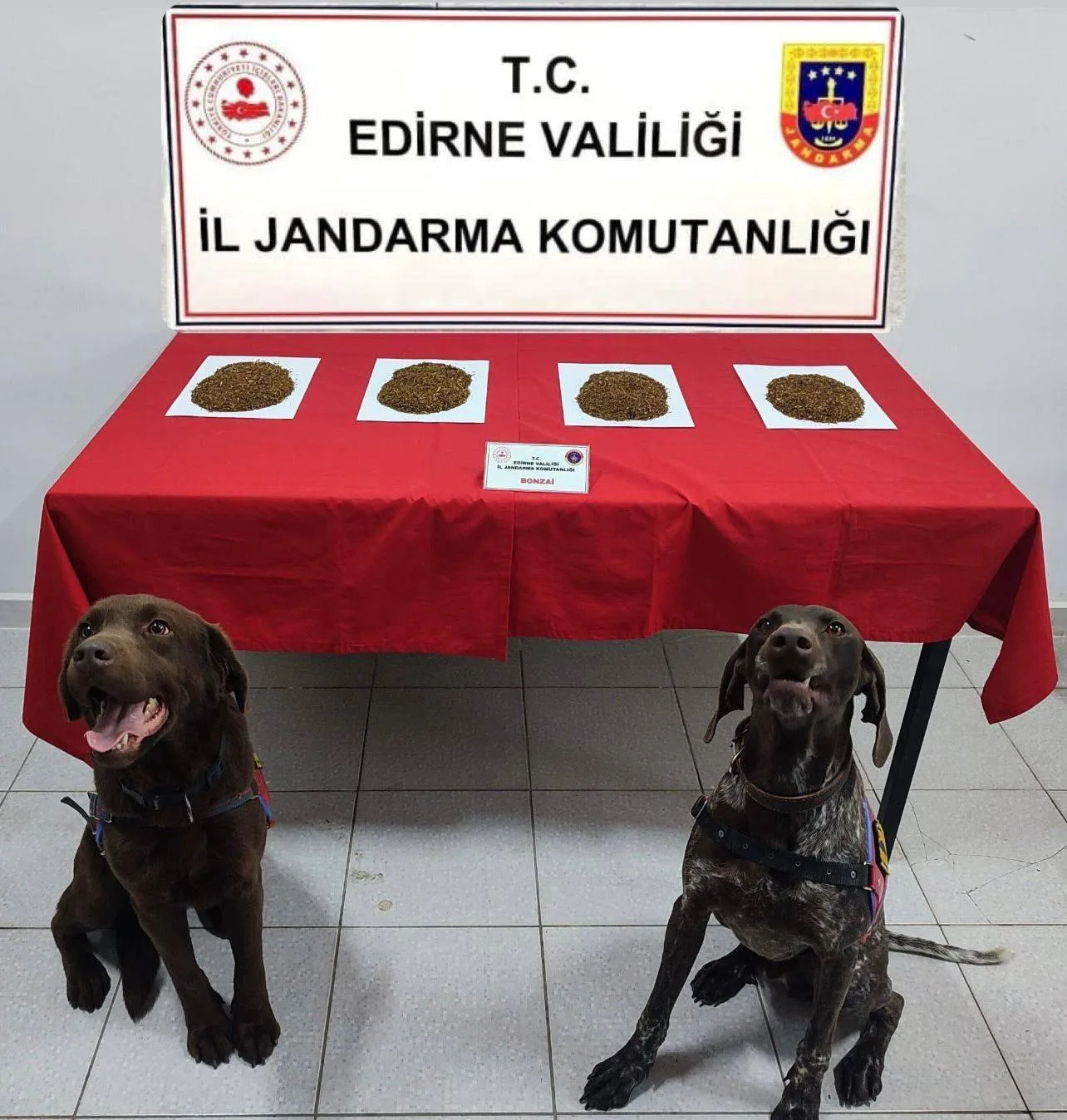 Edirne’de durdurulan araçta 300 gram bonzai ele geçirildi Edirne’de durdurulan araçta 300 gram bonzai ele geçirildi