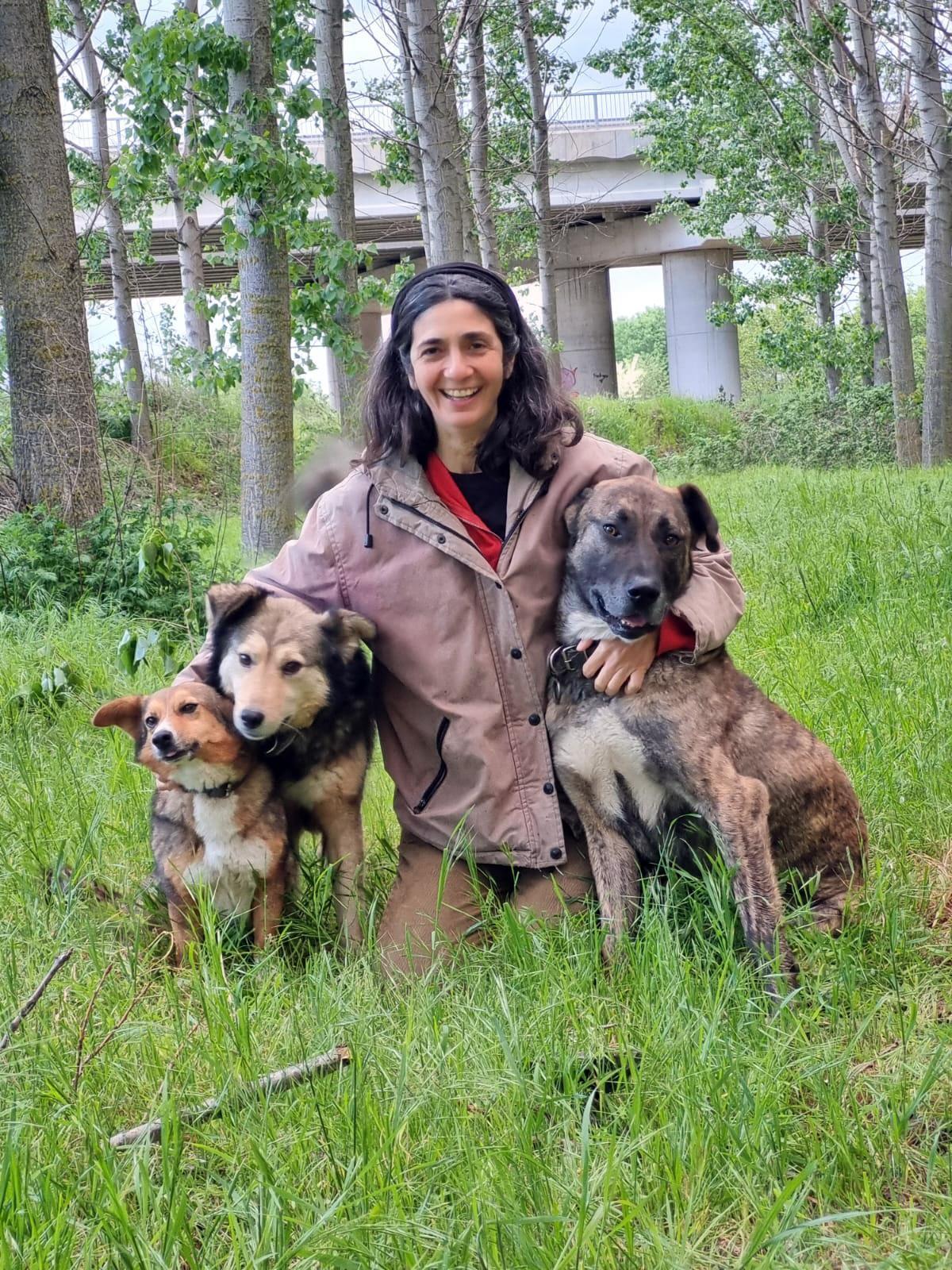 İspanyol akademisyenin bir köpeği zehirlendi, diğeri aynı gece kayboldu İspanyol akademisyenin bir köpeği zehirlendi, diğeri aynı gece kayboldu