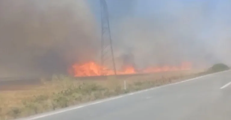 180 Dönüm Buğday Ekili Tarla Yandı: 3 Kişi Dumandan Etkilendi