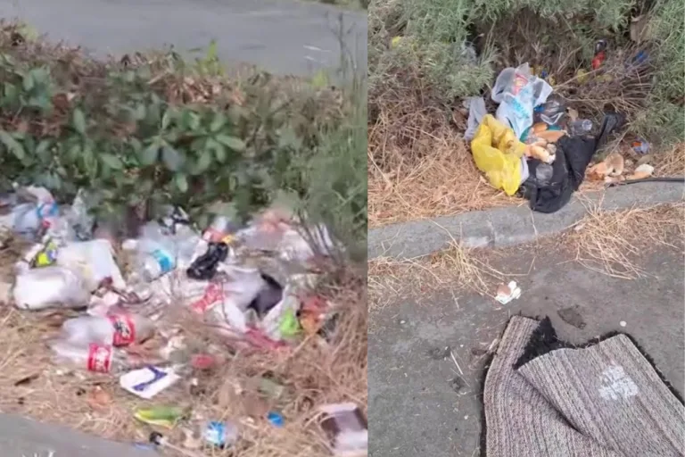 Cumhuriyet Parkı’nda Çöp Sorunu: Vatandaşlar Tepkili