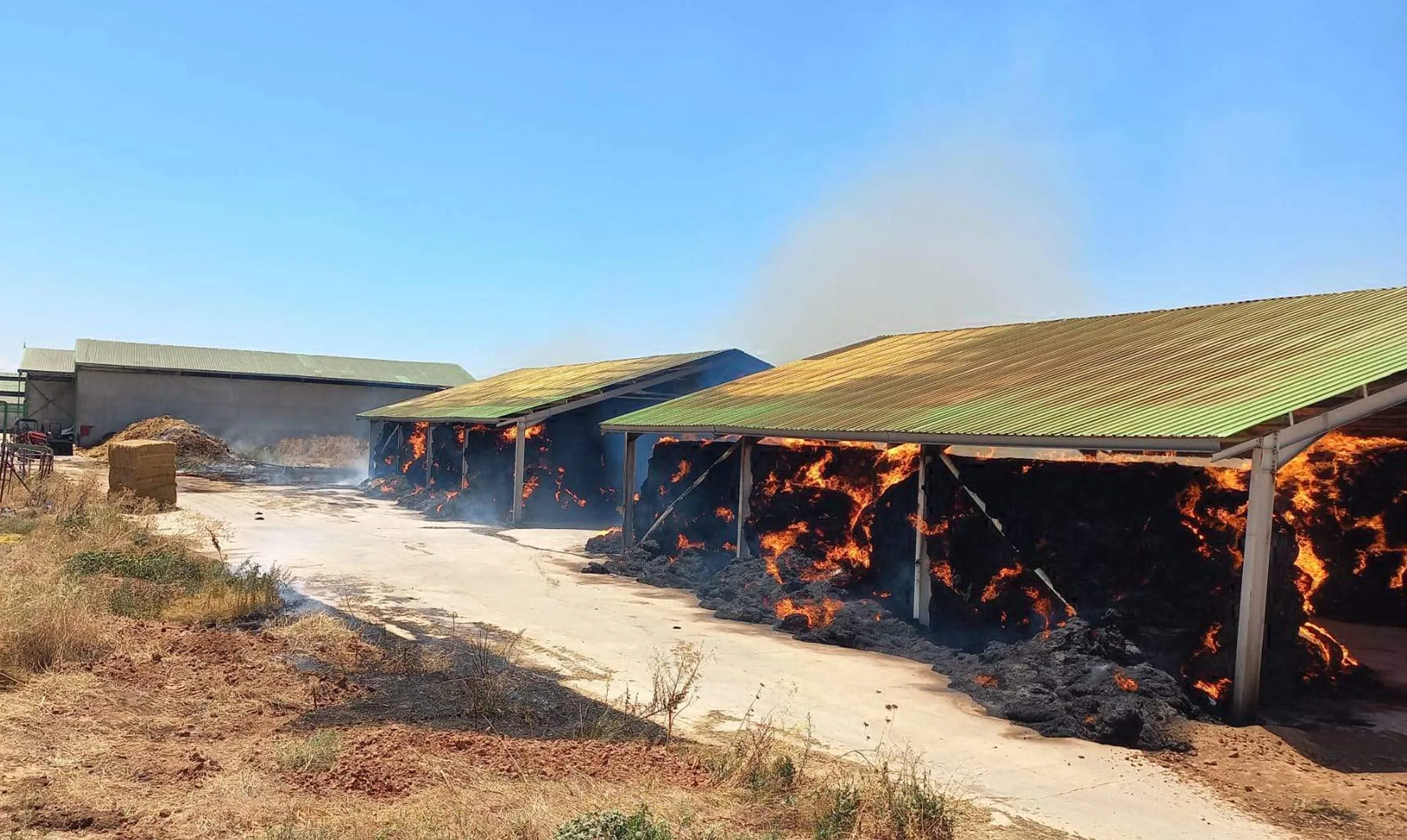 Anız yangını çiftliğe sıçradı; 1000 balya yandı Anız yangını çiftliğe sıçradı; 1000 balya yandı