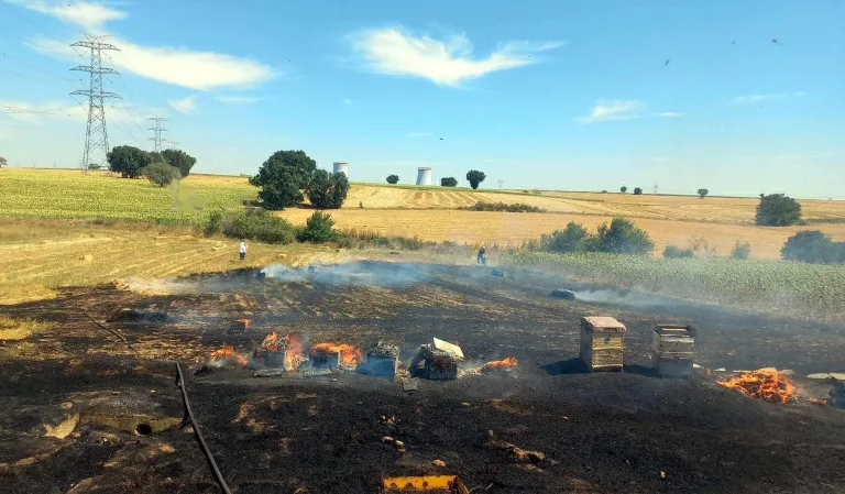 Anız yangının sıçradığı, içinde arıların olduğu 200 kovan yandı