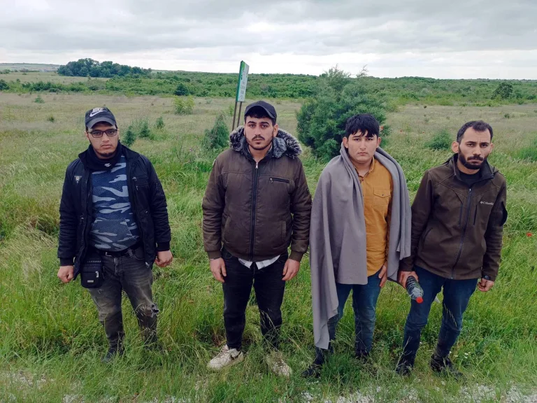Edirne’de 4 kaçak göçmen yakalandı